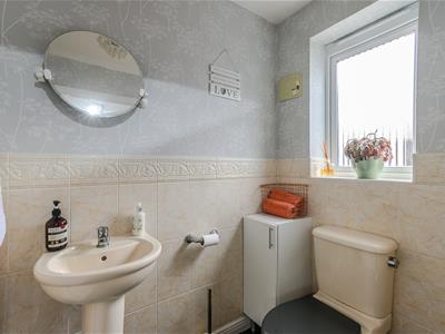 Picture 27